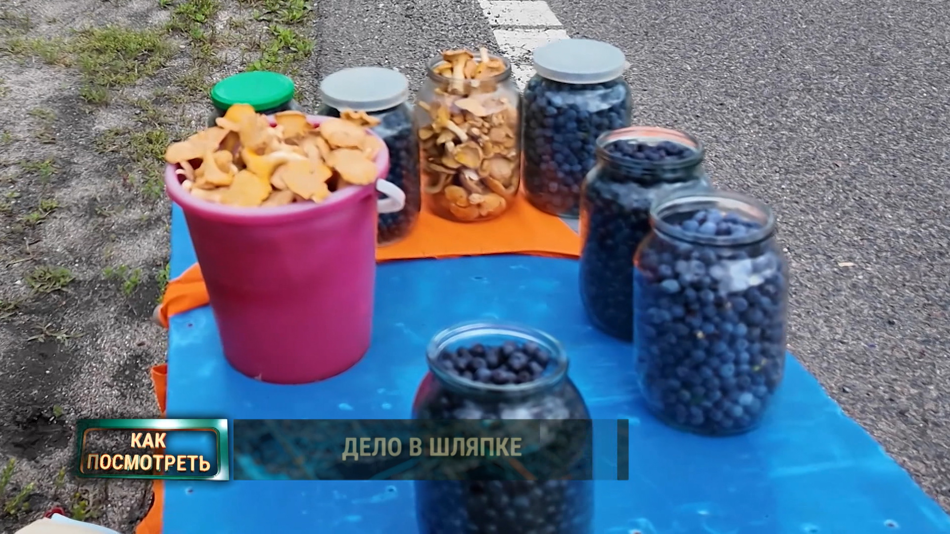 грибы опасность